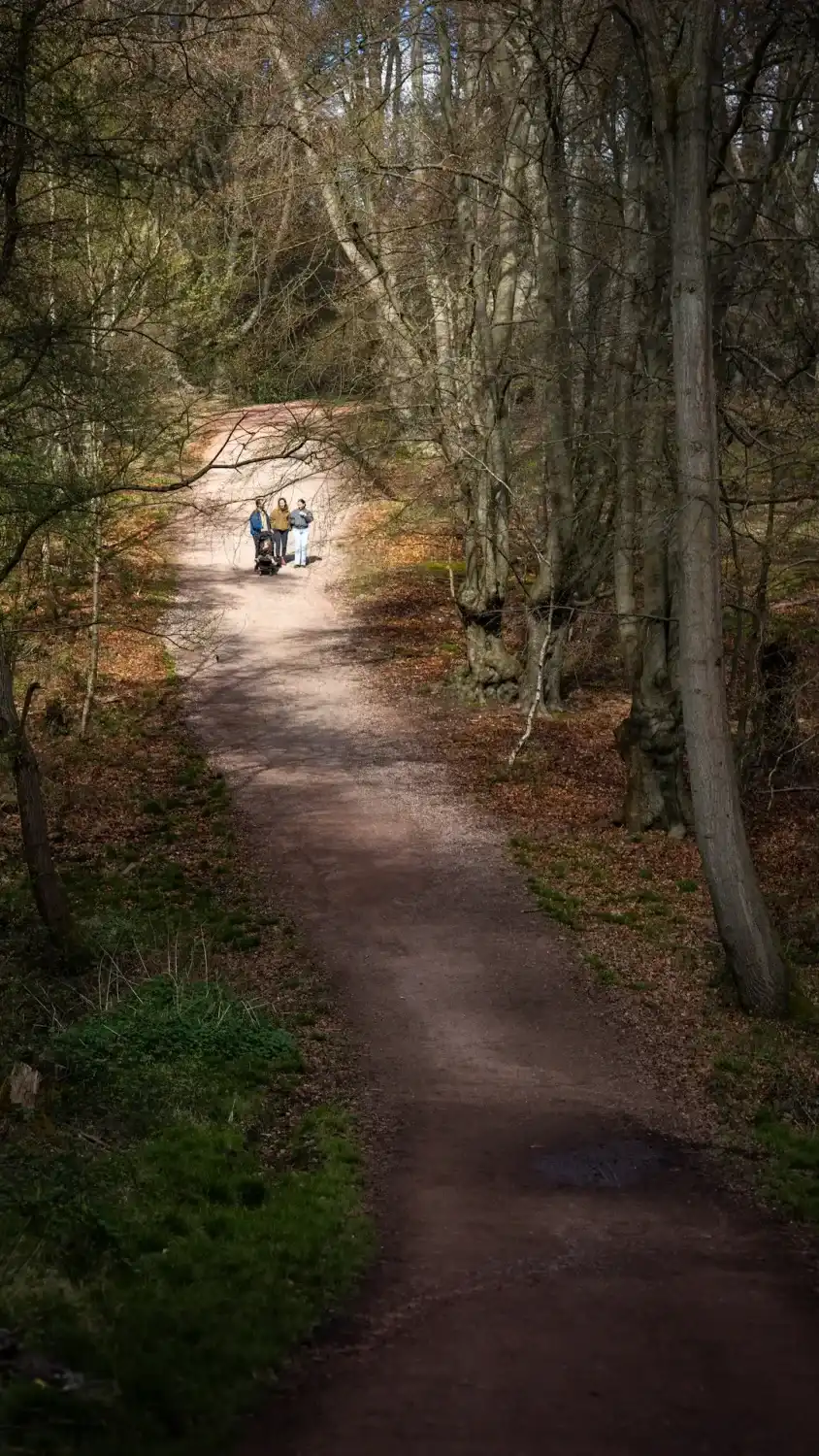 Two people walk up a wooded path in autumn.