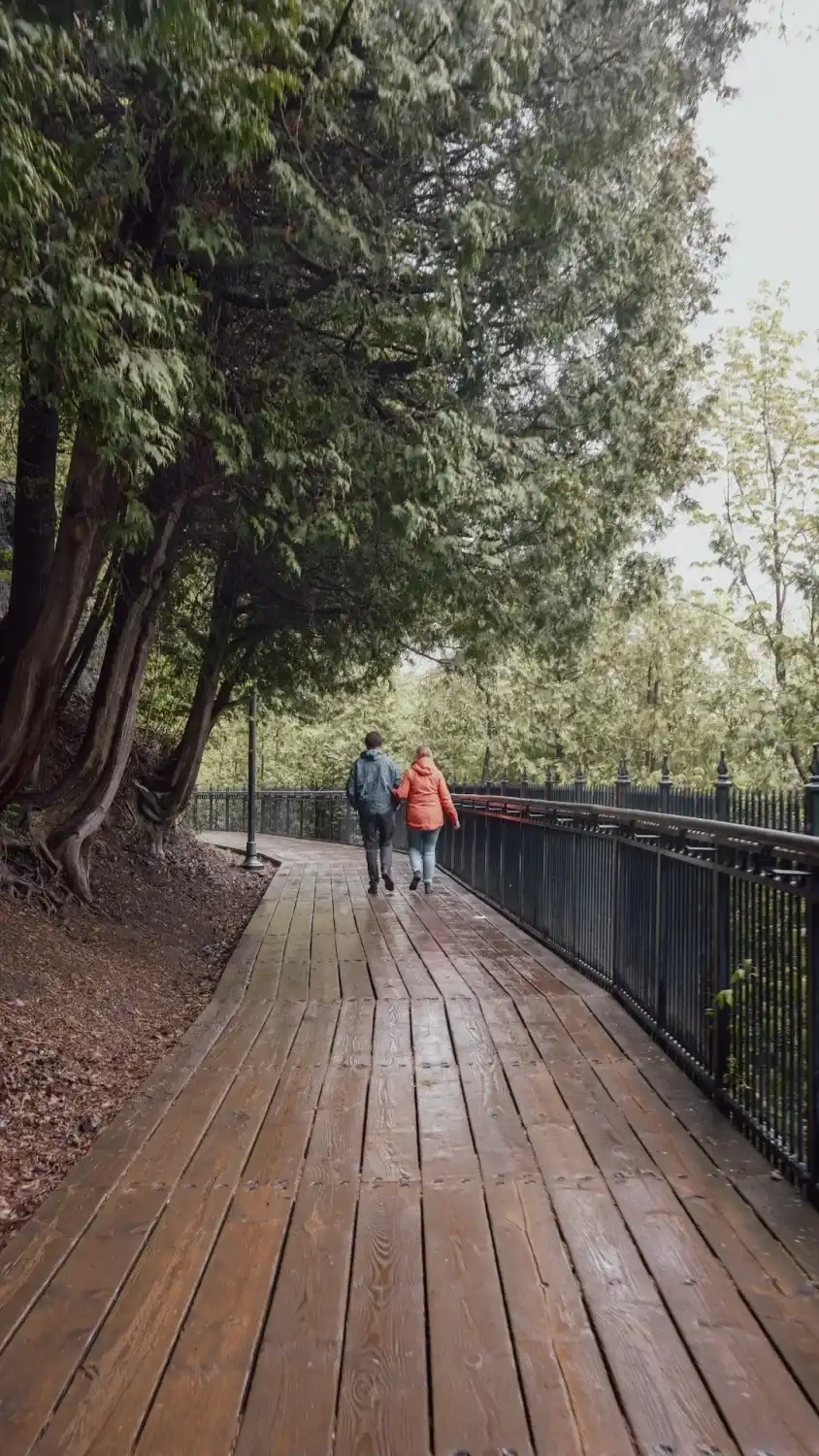 Two people walk on a wooden boardwalk through a forest.