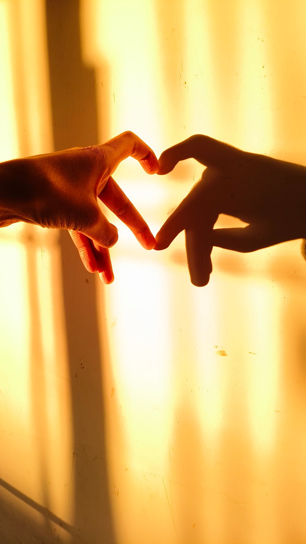 Two hands form a heart with fingers, casting a shadow against a warm glowing background.