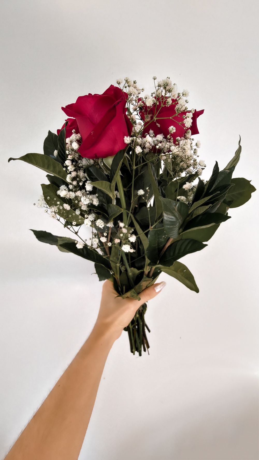 A vibrant bouquet of red roses with white baby's breath held against a neutral background.