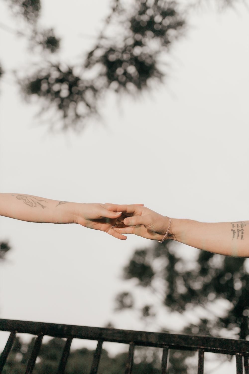Two tattooed hands reaching towards each other with trees in the background, symbolizing connection.